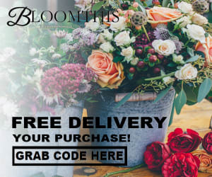 Bloomthis Free Ship