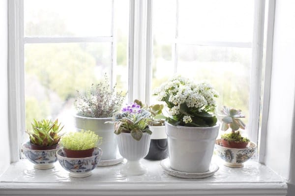 Gardening Decoration