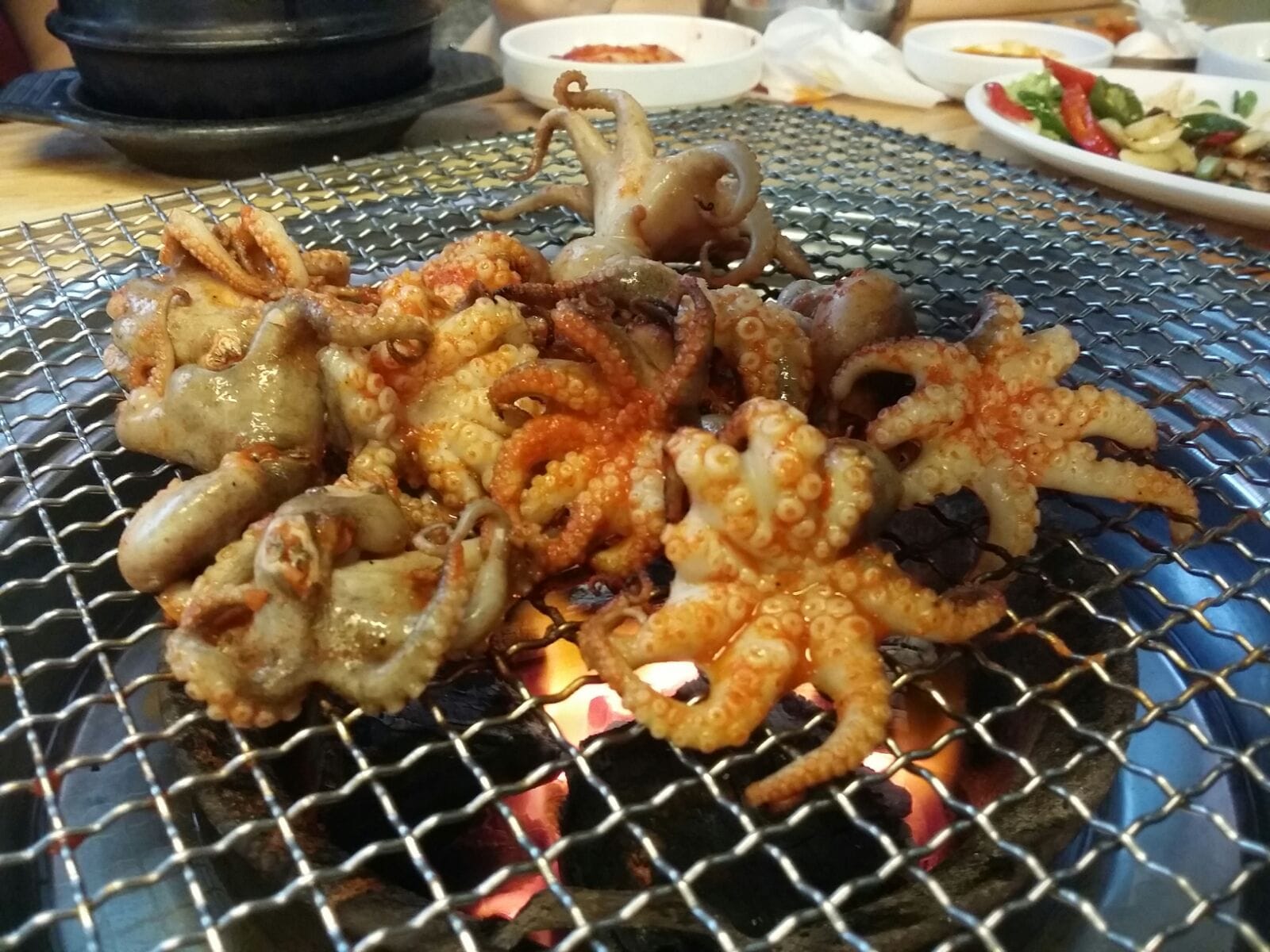 Sae Ma Eul Octopus